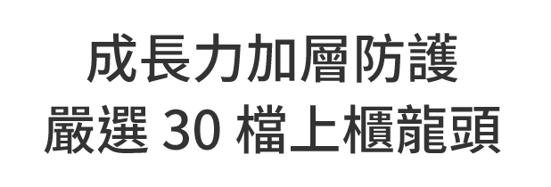 成長力加層防護 嚴選 30 檔上櫃龍頭