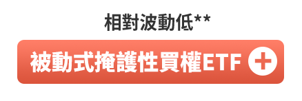 被動式掩護性買權ETF